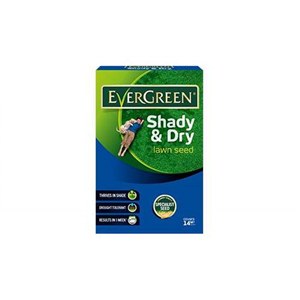 Evergreen Shady Lawn 14m2 Grass Seed